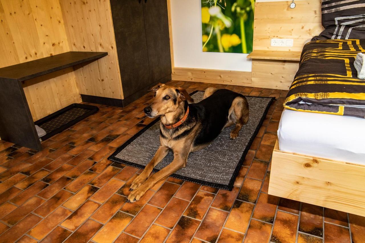 Apartament Urlaubsreich Arbesbach Zewnętrze zdjęcie